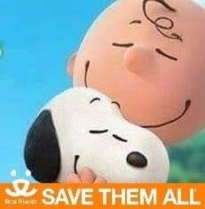 Meet your Posher, Dawn